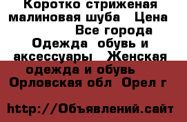 Коротко стриженая малиновая шуба › Цена ­ 10 000 - Все города Одежда, обувь и аксессуары » Женская одежда и обувь   . Орловская обл.,Орел г.